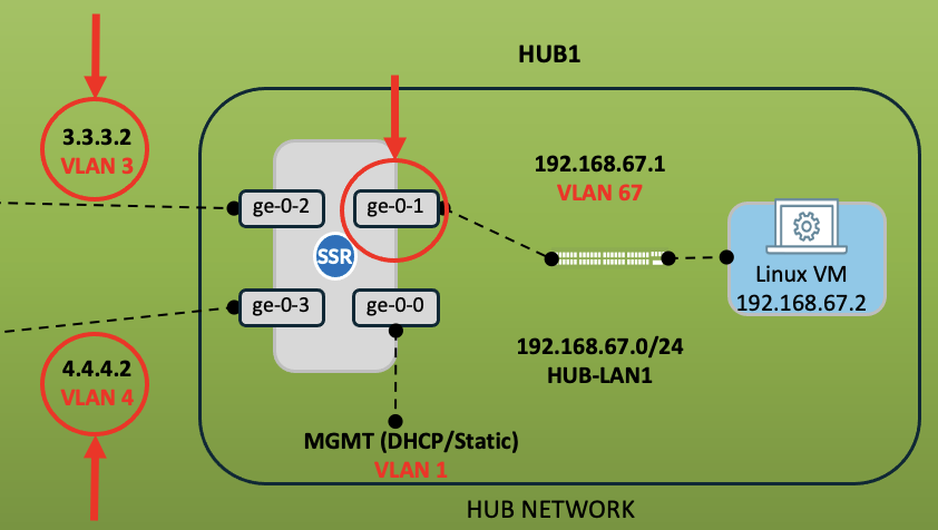 VLAN Identification