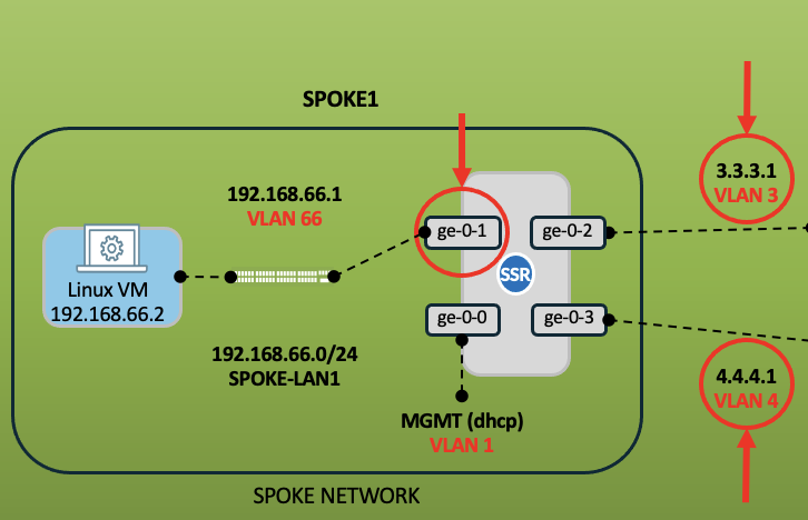 VLAN Identification