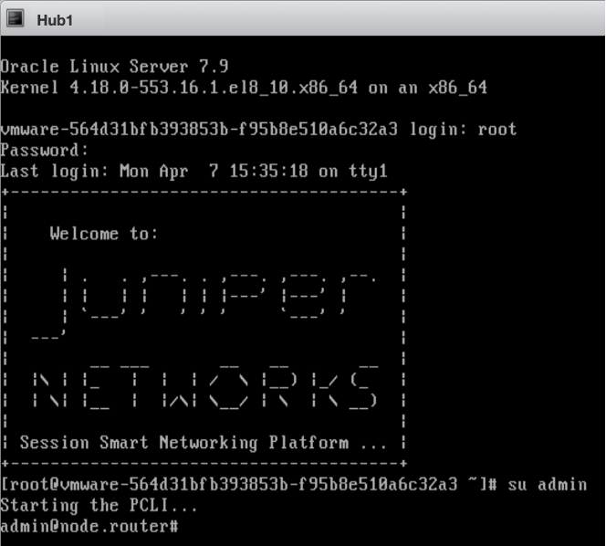 Initial Login