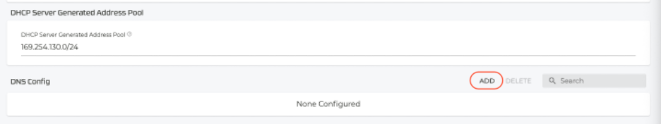 Interface and DNS addresses