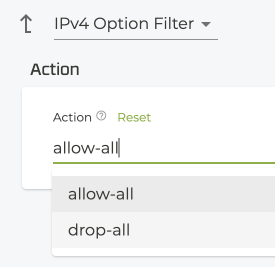 IPv4 Option Filter window