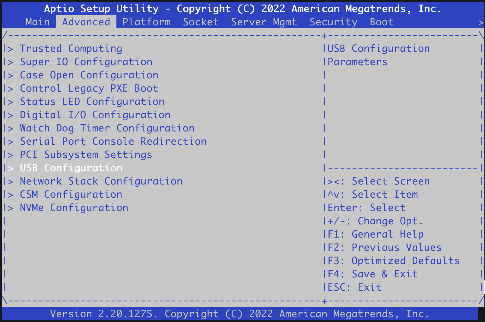 BIOS Advanced Tab