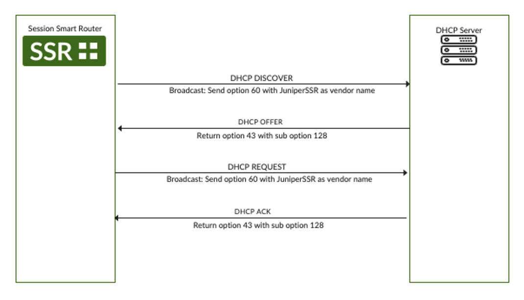 DHCP Discovery Process