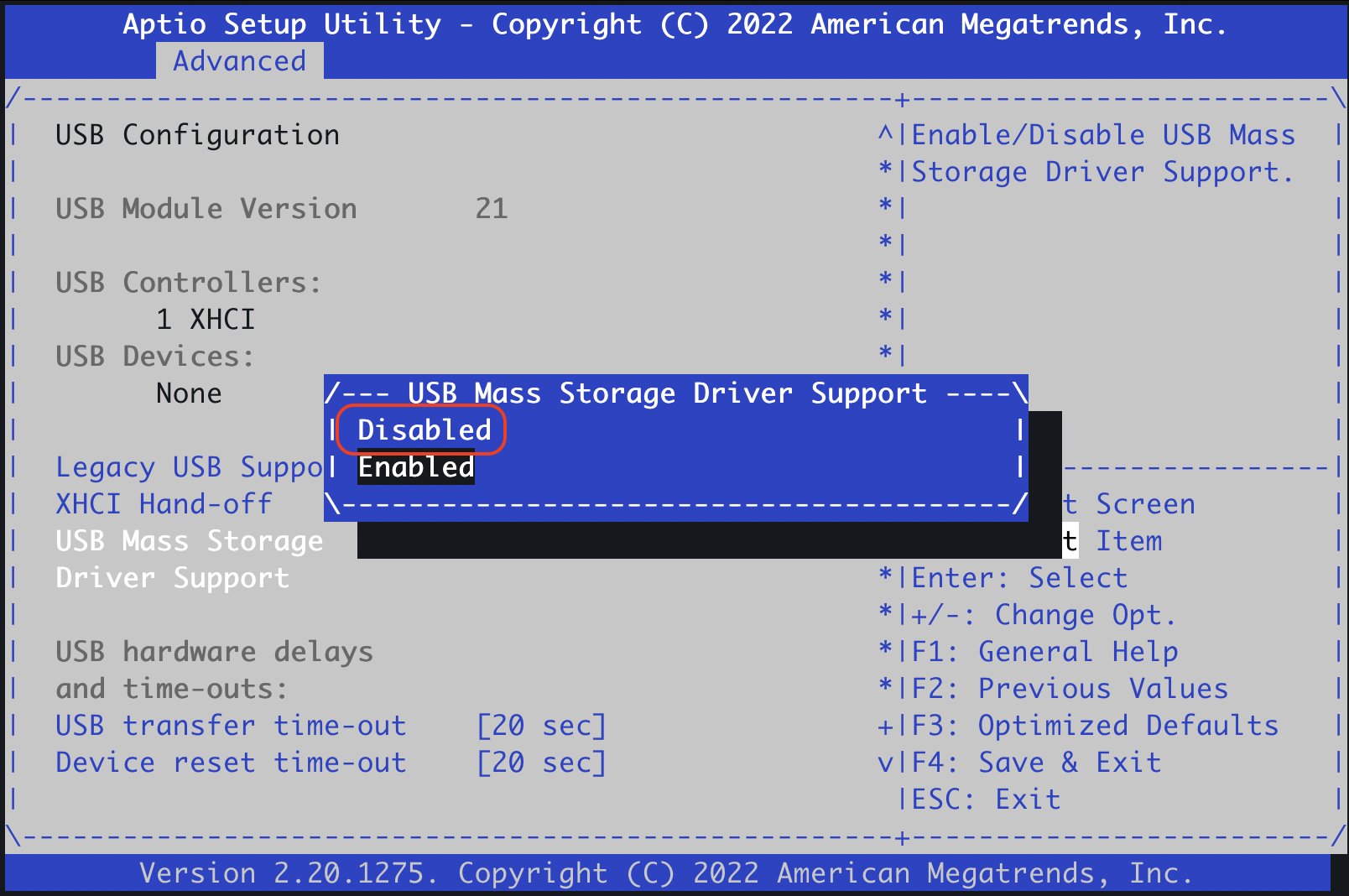 USB Mass Storage